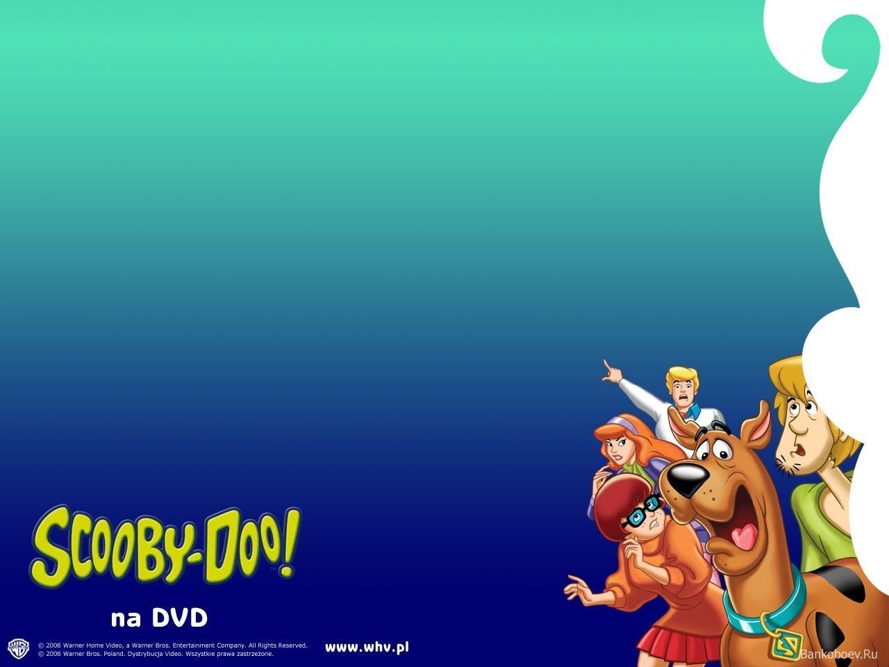 Personaggi Scooby-Doo cartone animato, 1280x960 720p, Laptop