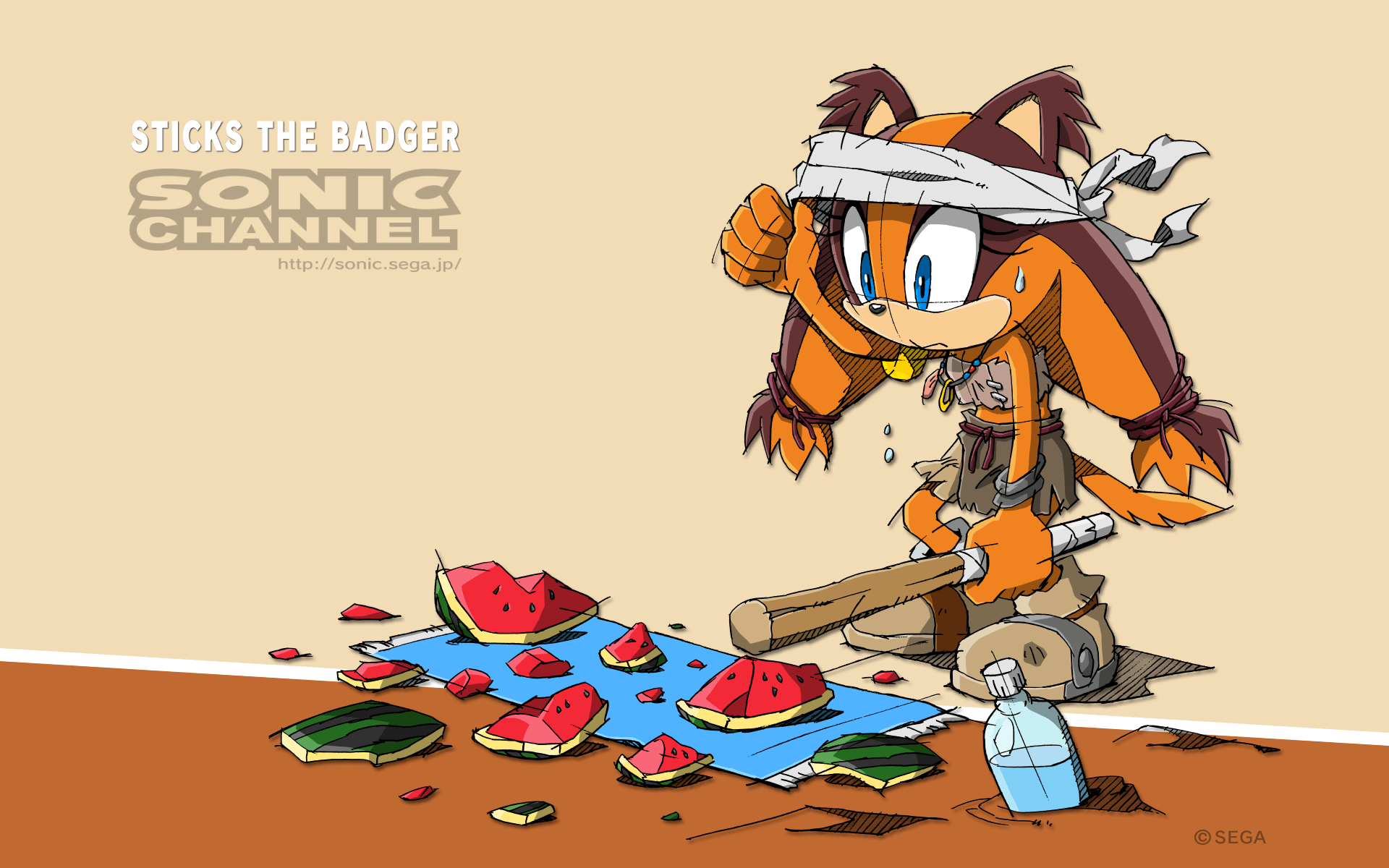 Sticks the Badger, Sonic, 1920x1200 Full HD+, PC Desktop