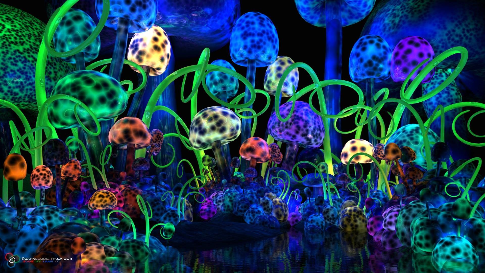 Funghi psichedelici fluorescenti colorati, 1920x1080 Full HD 1080p, PC Desktop