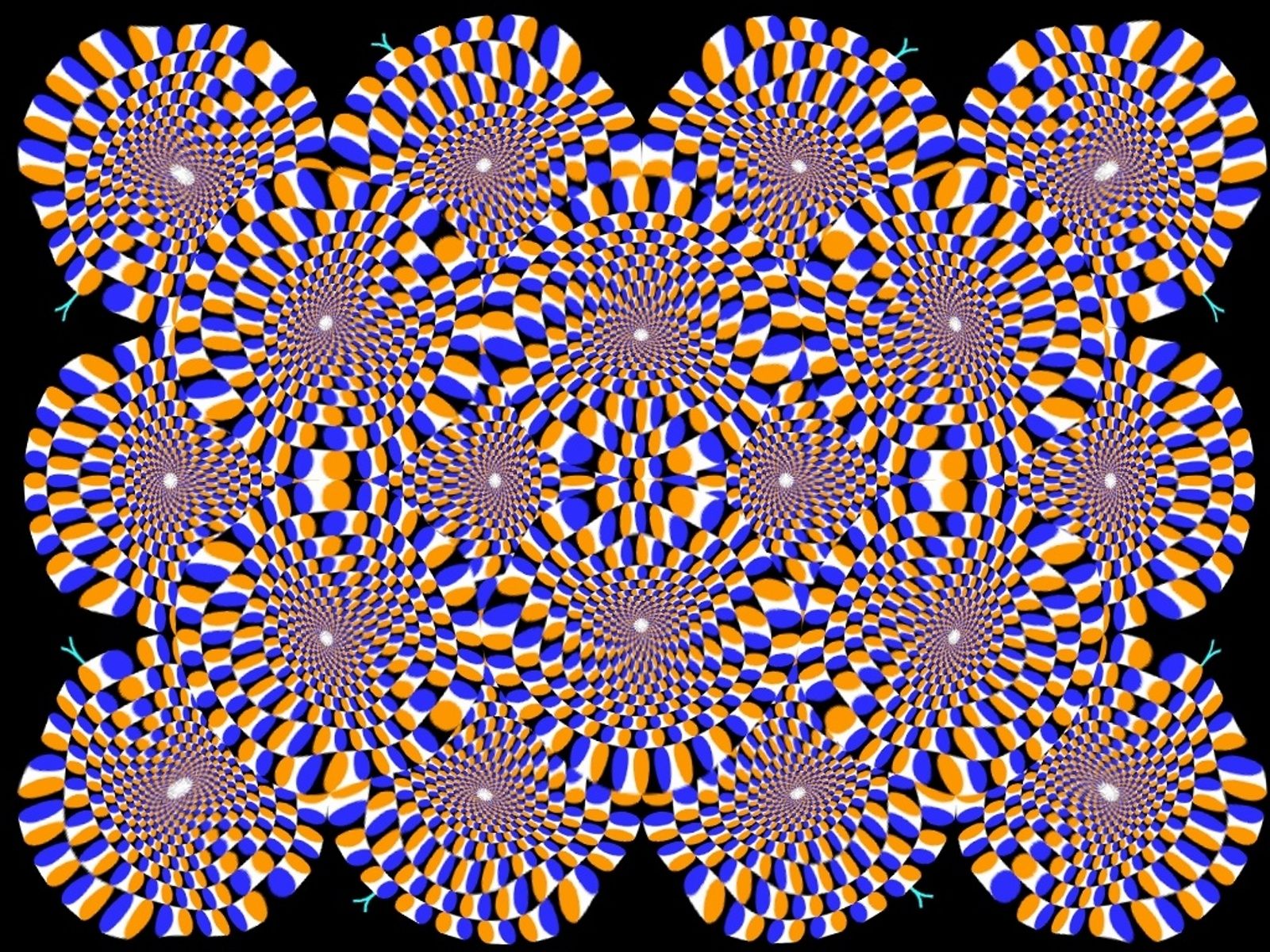 Cerchi geometrici illusione ottica, 1600x1200 900p, Desktop