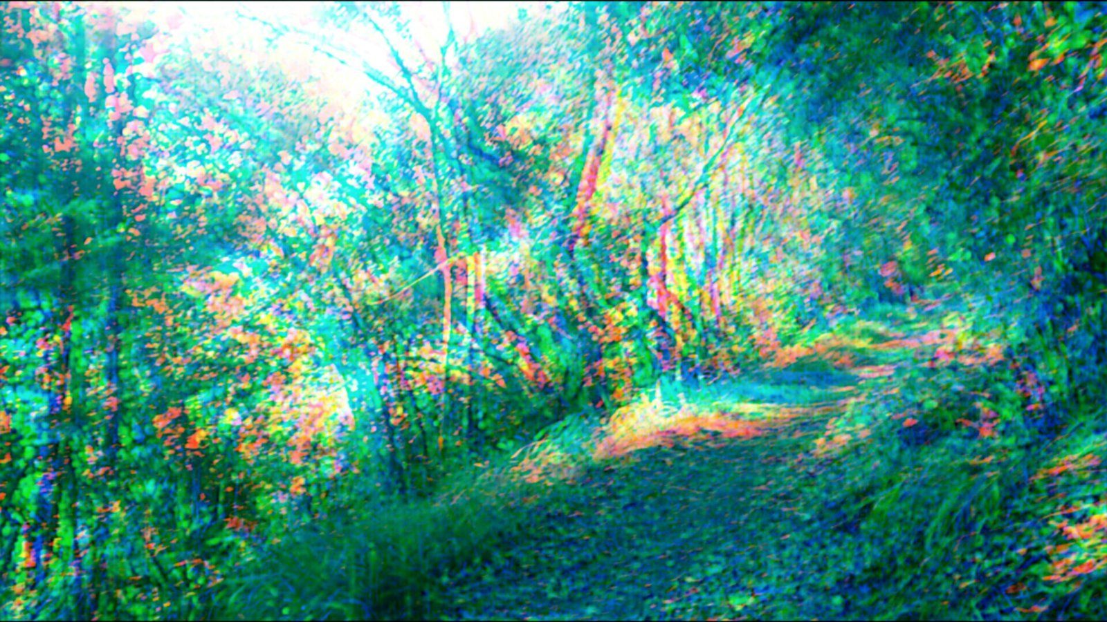 Foresta psichedelica con sentiero, 1600x900 HD, iMac