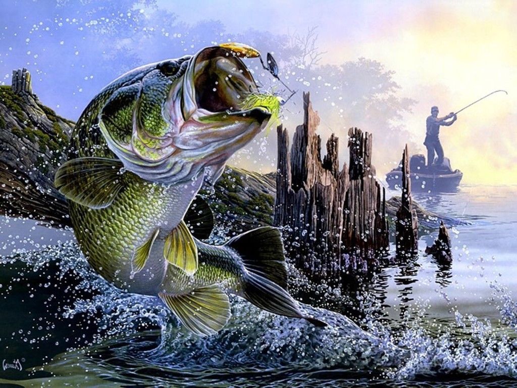 Persico trota che salta dall'acqua, 1920x1200 Full HD+, PC