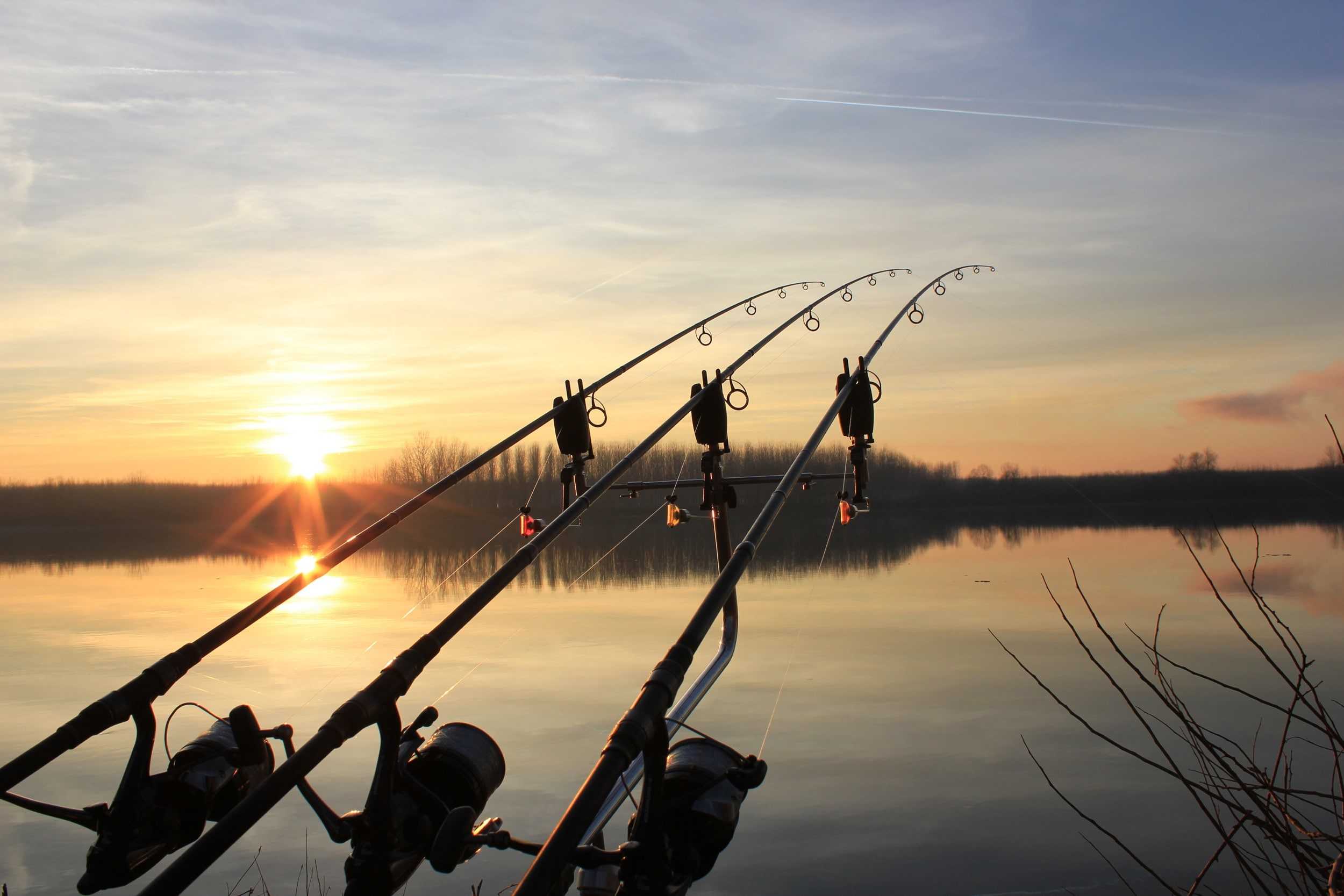 Canne da pesca al tramonto, 2500x1667 2K, PC