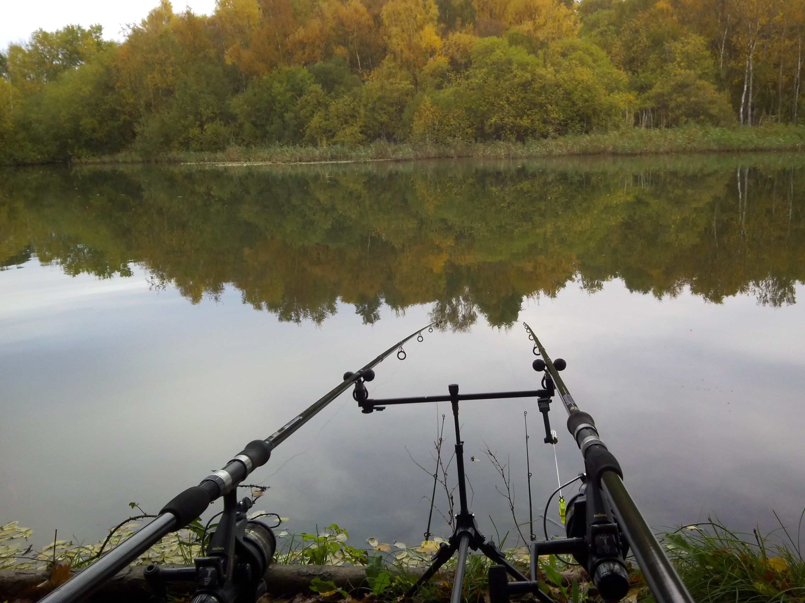 Canne da pesca al lago autunnale, 2560x1920 2K+, PC