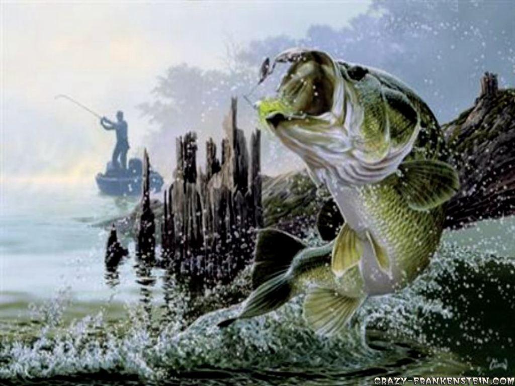 Major League Fishing pesca sportiva, 1920x1080 1080p, Desktop