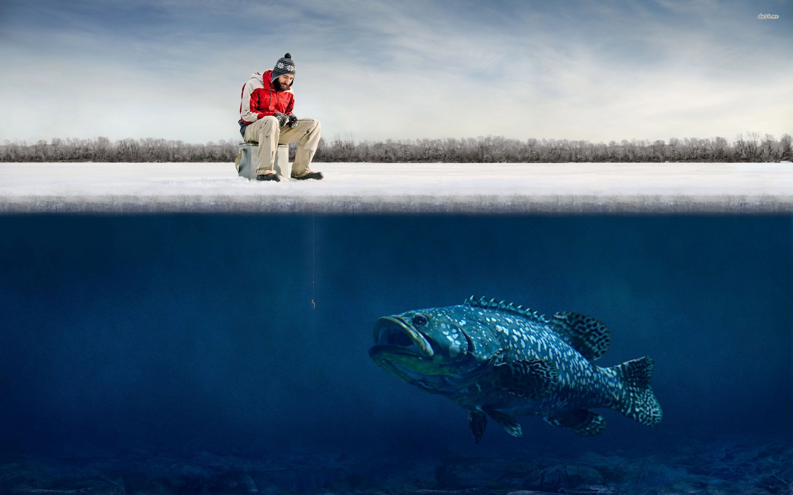 Pescatore su ghiaccio con pesce gigante, 2560x1600 2K, Desktop