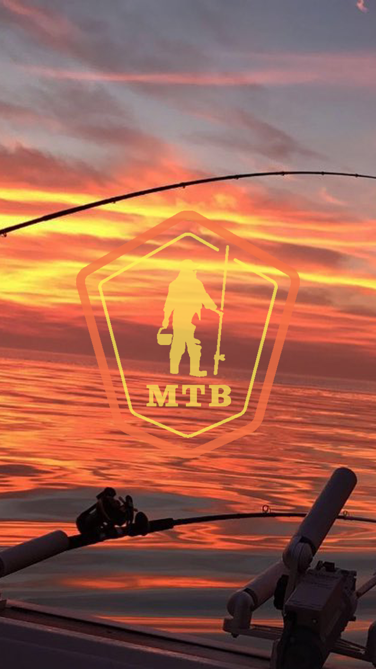 Canna da pesca al tramonto, 750x1334 Full HD Verticale, Smartphone