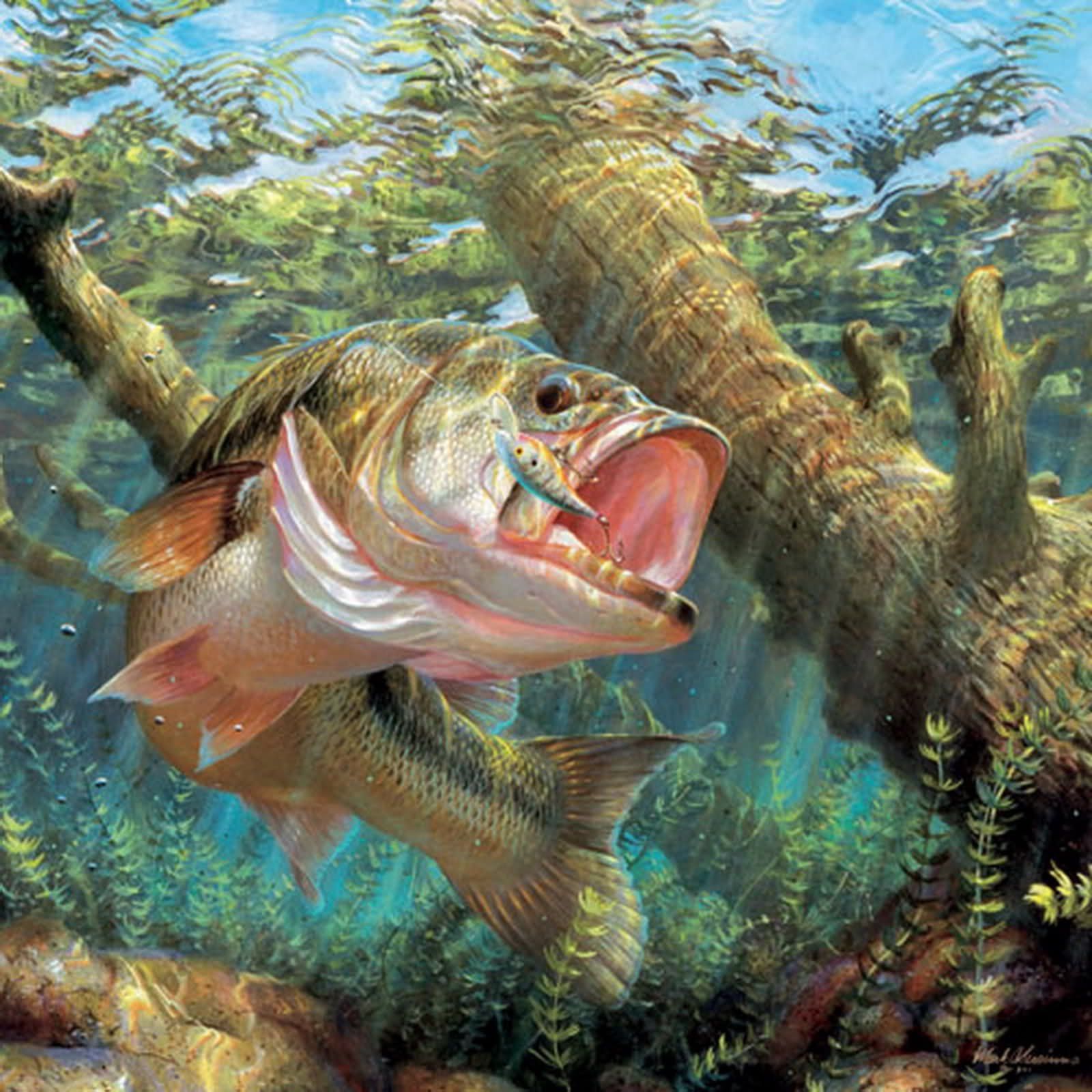 Orso che pesca salmone, 2560x1440 1440p, Desktop
