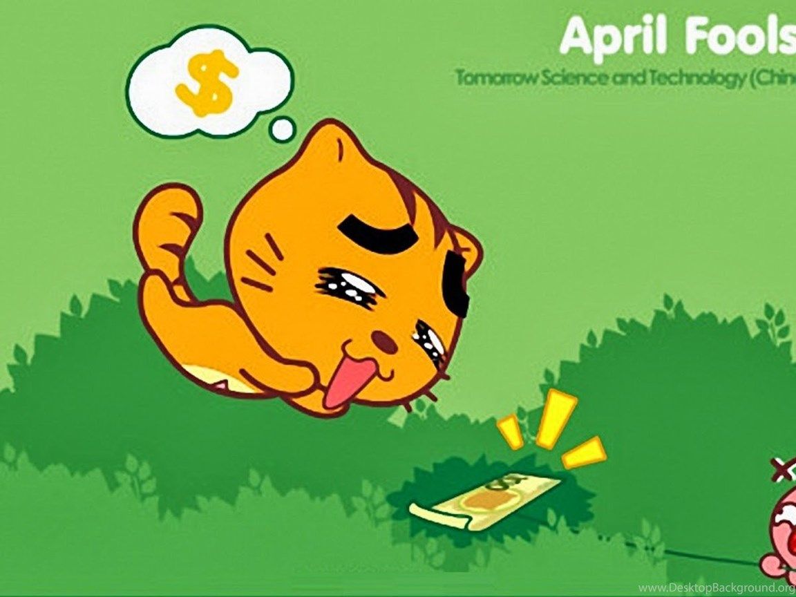 Gatto arancione con soldi finti, 1152x864 HD, PC Desktop