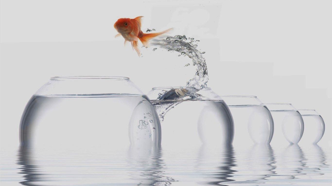 Pesce rosso salta tra boccali, 1366x768 720p, Laptop