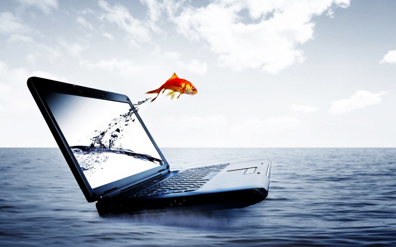 Pesce rosso salta da laptop, 1280x800 720p, PC