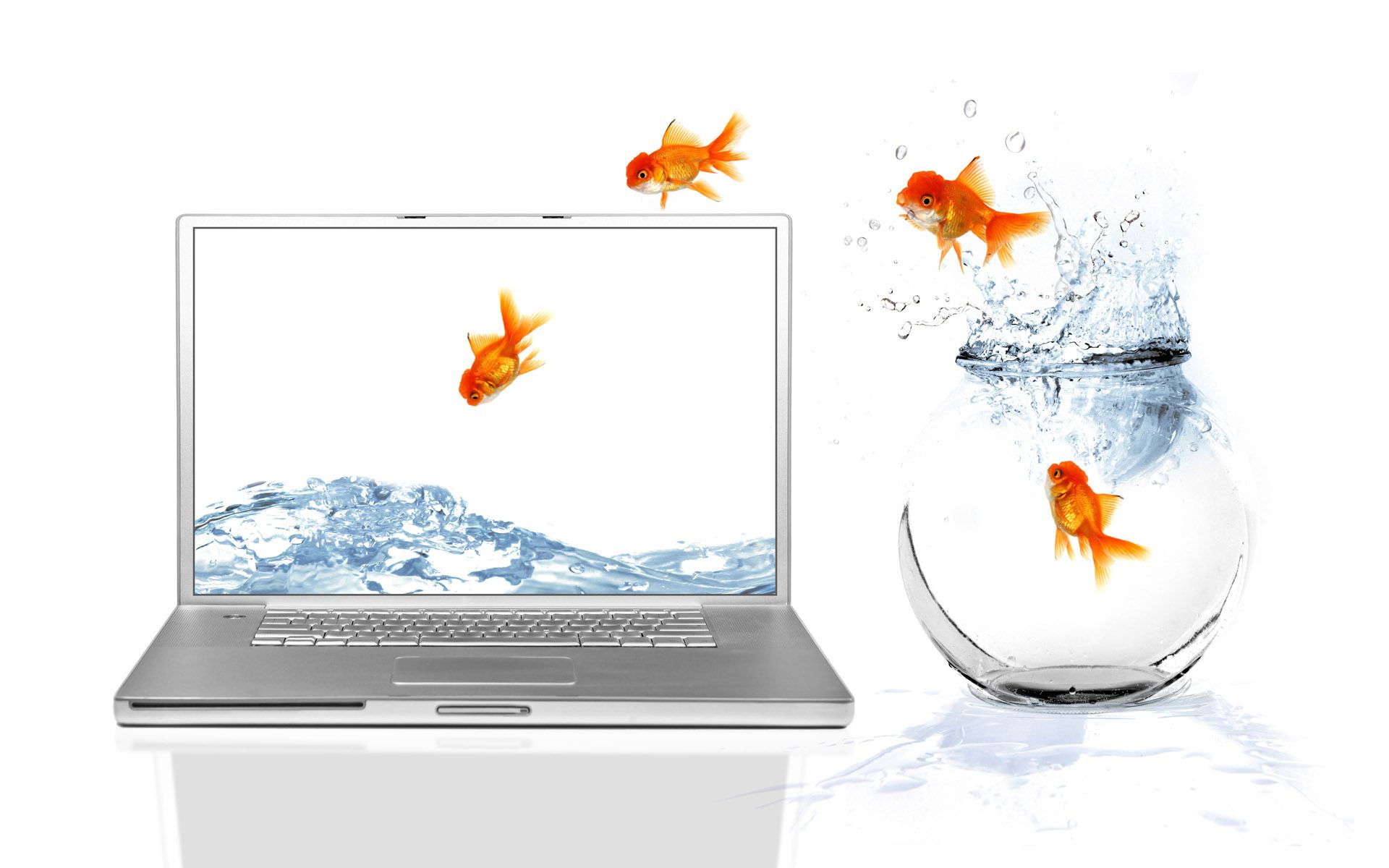 Pesci rossi che saltano da acqua, 1920x1200 Full HD+ WUXGA, Desktop