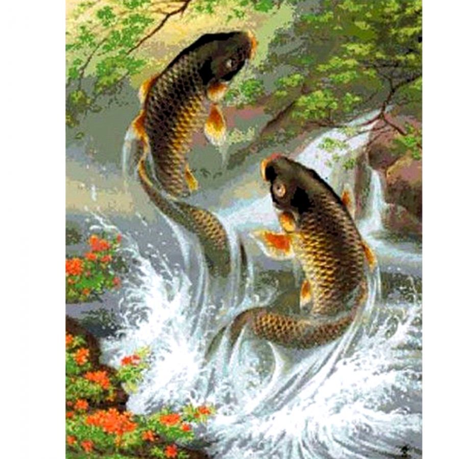 Carpe koi che saltano cascata, 930x900 HD, PC