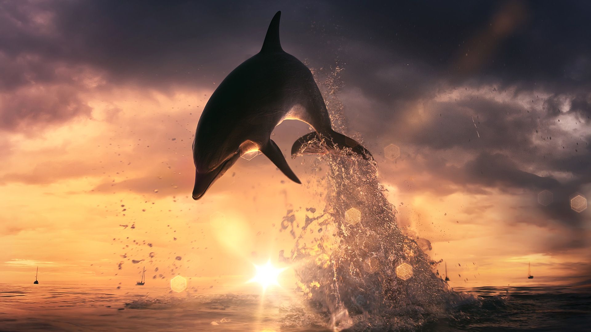 Delfino che salta al tramonto, 1920x1080 1080p, PC Desktop