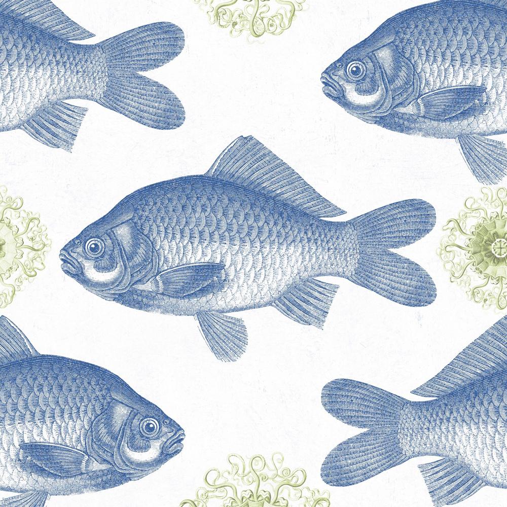 pesci blu illustrazione vintage, 1000x1000 HD, Laptop