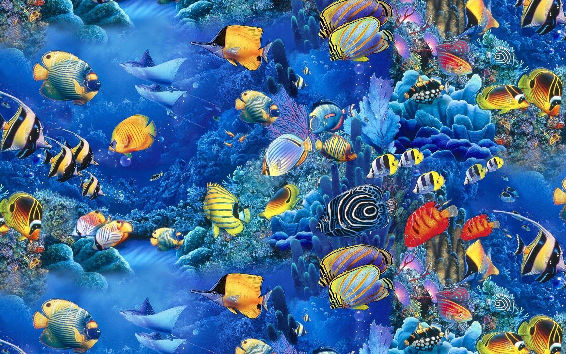 pesci tropicali collage colorato, 1920x1200 Full HD+, PC Desktop
