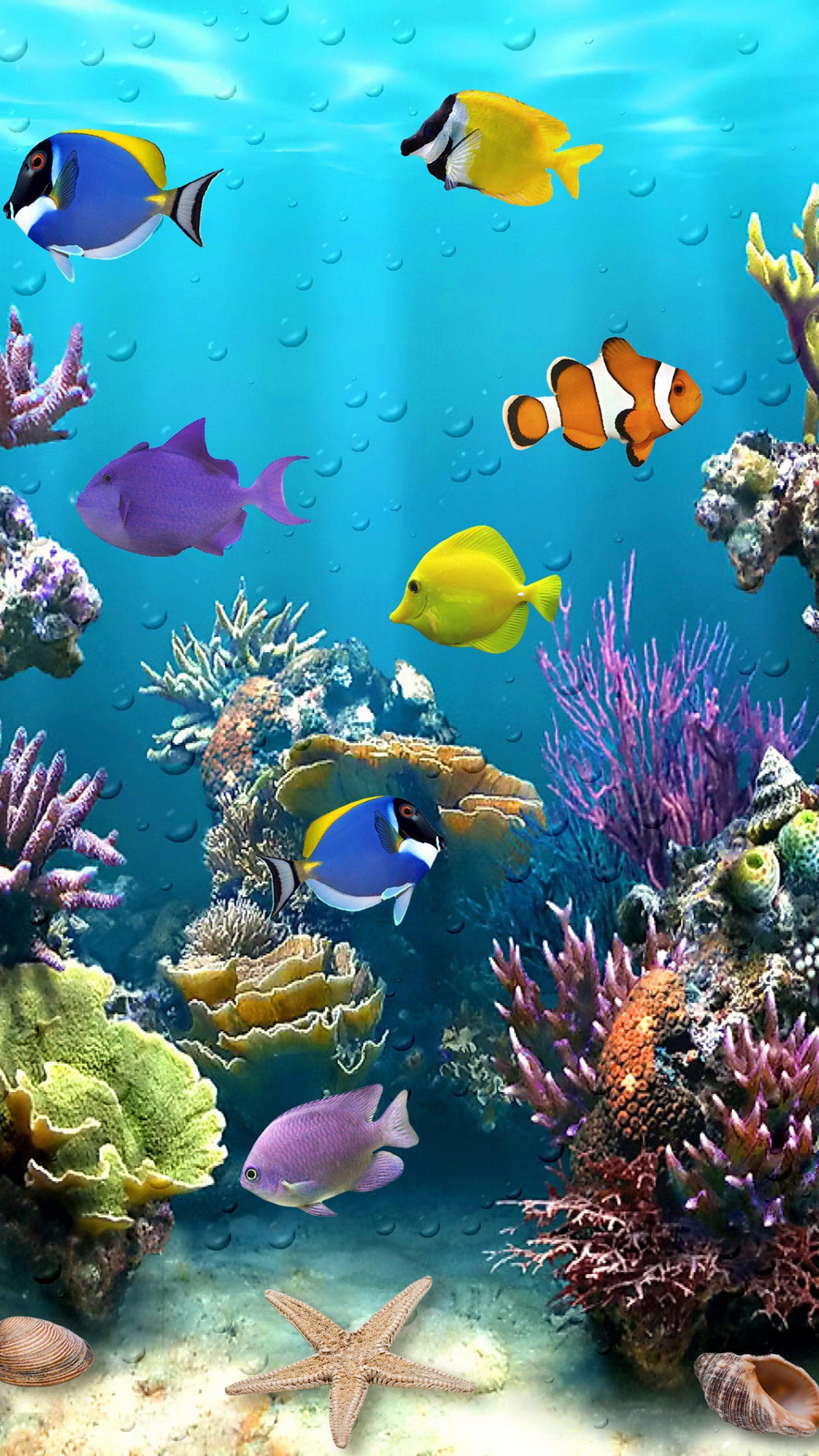acquario tropicale corallo pesci, 1440x2560 Full HD Verticale, iPhone