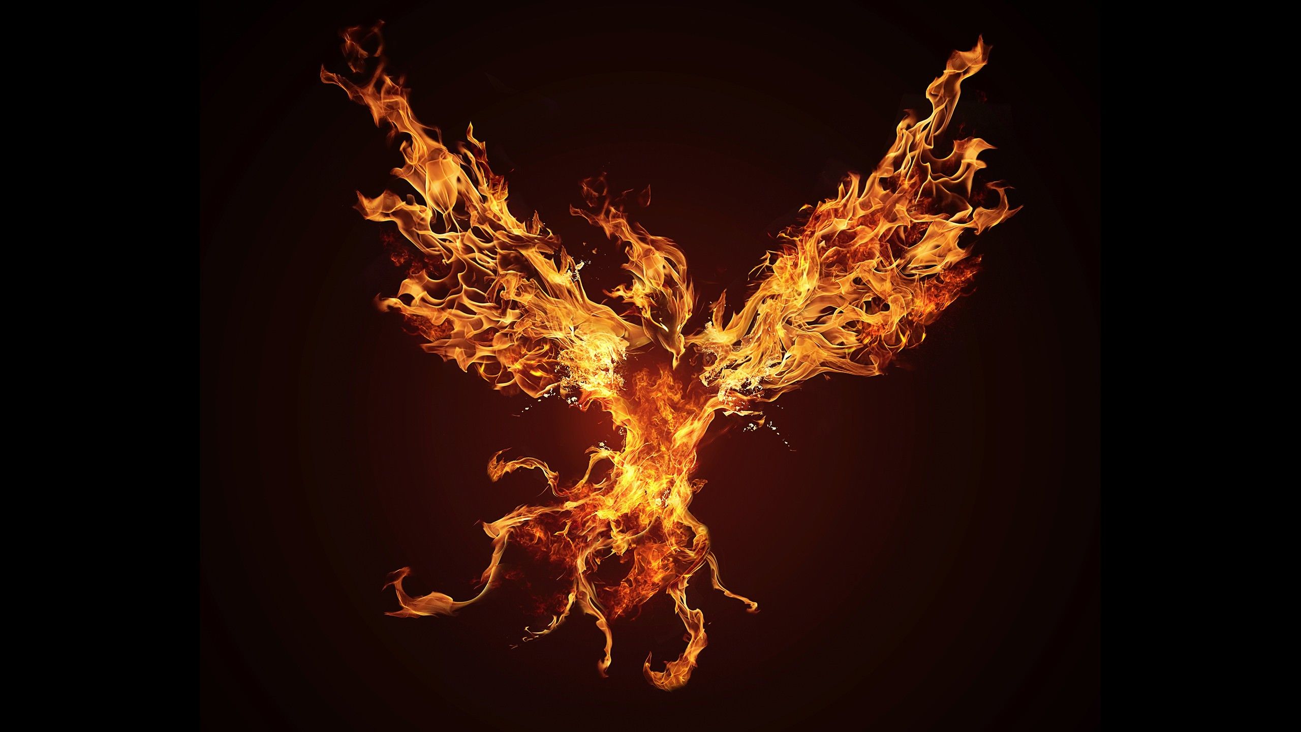 Fenice di fuoco fiamme, 2560x1440 2K, Desktop