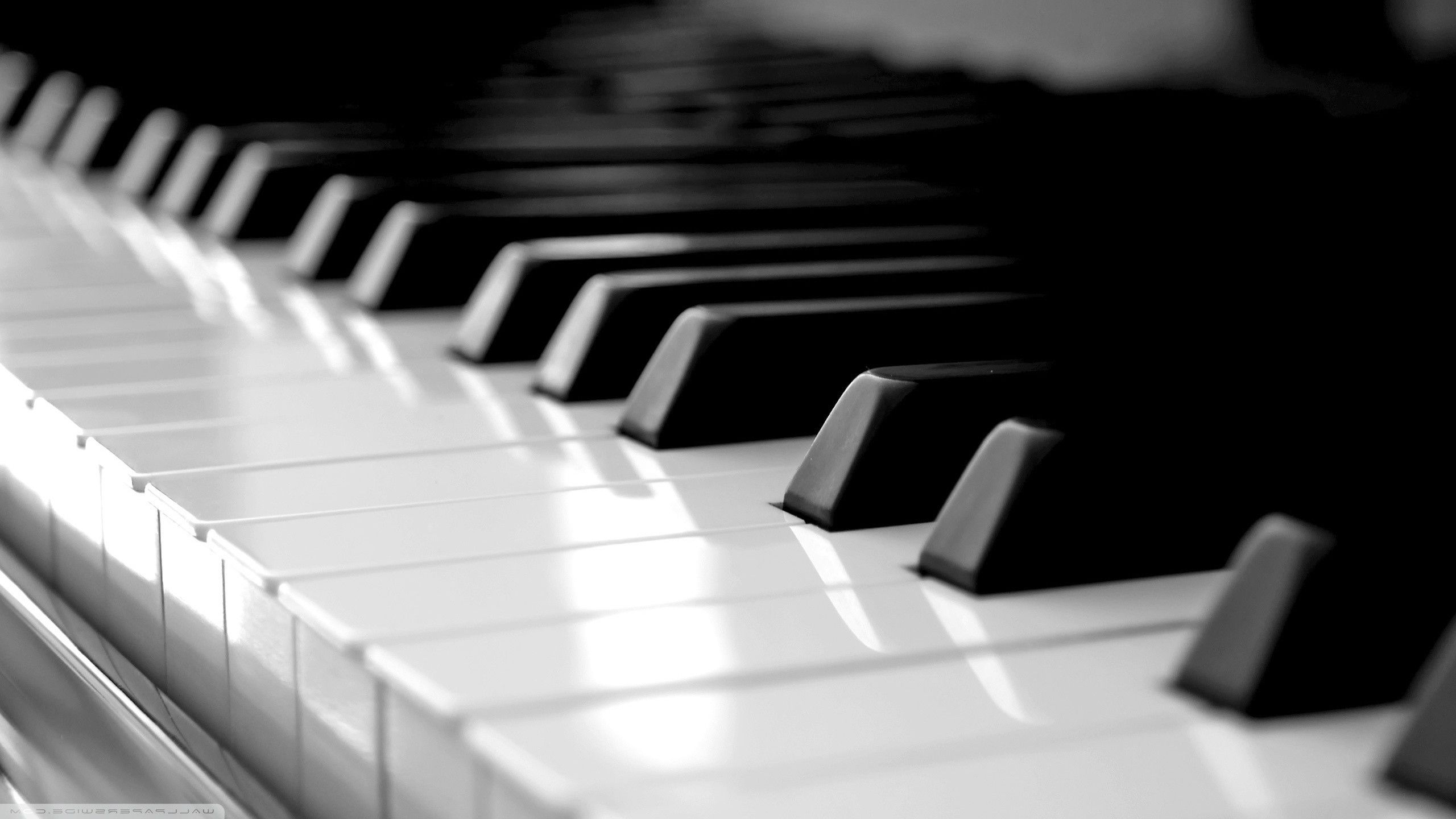 Tasti pianoforte bianco e nero, 2560x1440 QHD, Laptop