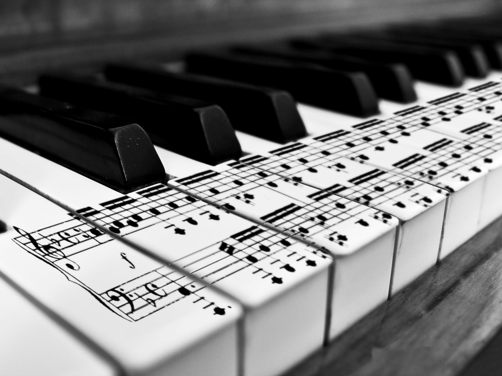 Tasti piano con spartito, 1600x1200 900p, HP Laptop