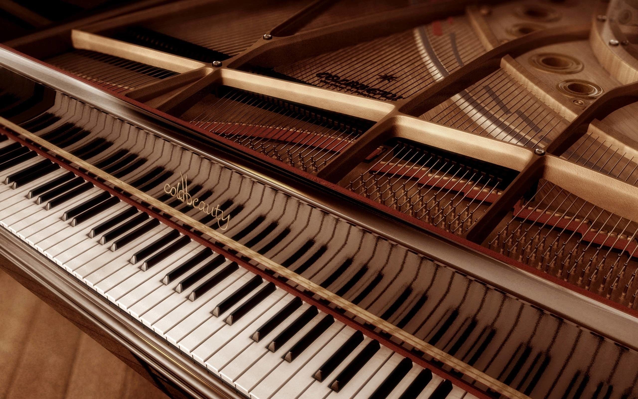 Pianoforte a coda aperto, 2560x1600 WQXGA, PC