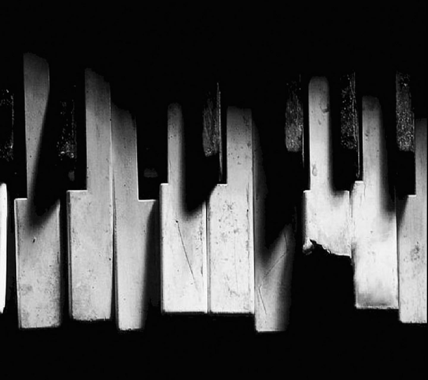Tasti di pianoforte rotti bianco nero, 1440x1280 HD, Desktop