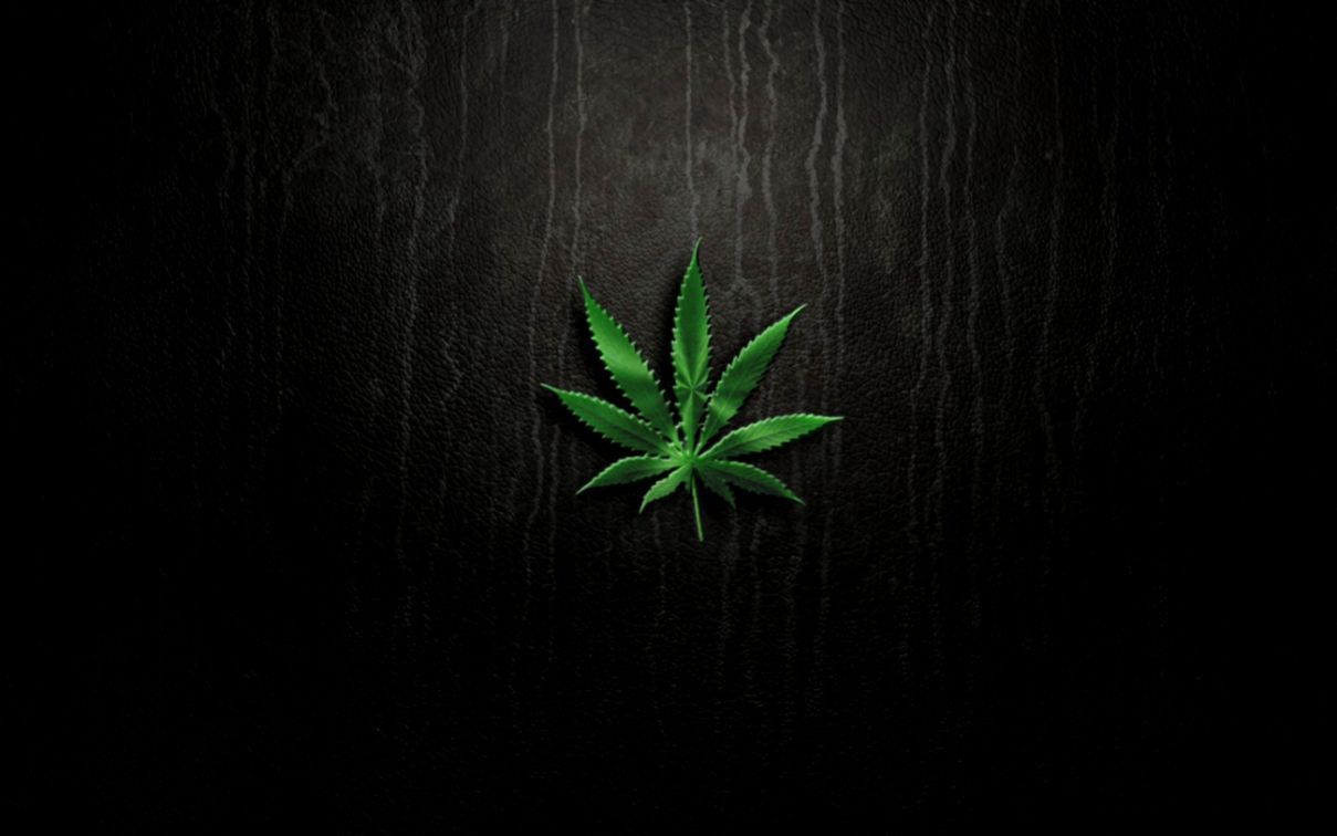 Foglia di cannabis su sfondo scuro, 1209x756 HD, ROG Asus Laptop