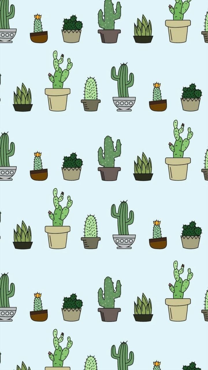 Cactus e piante in vaso, 720x1280 Full HD Verticale, iPhone