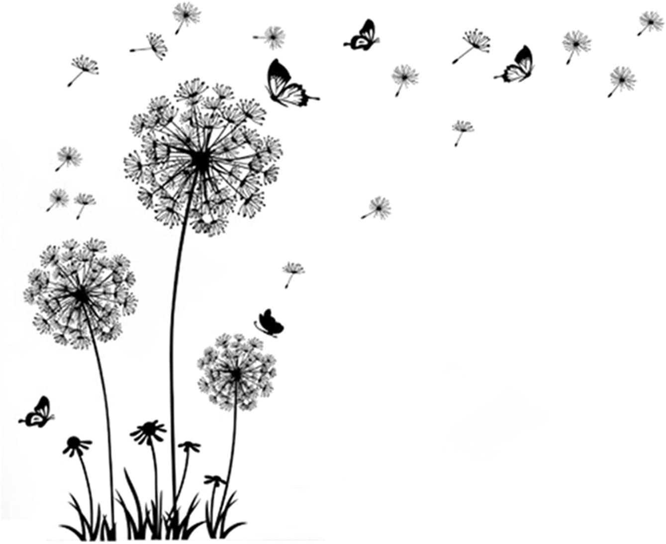 Piante Carine, 1856x1161 HD, Desktop