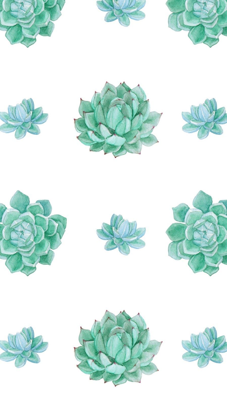 Piante grasse verdi pattern, 900x1600 Full HD Verticale, Smartphone