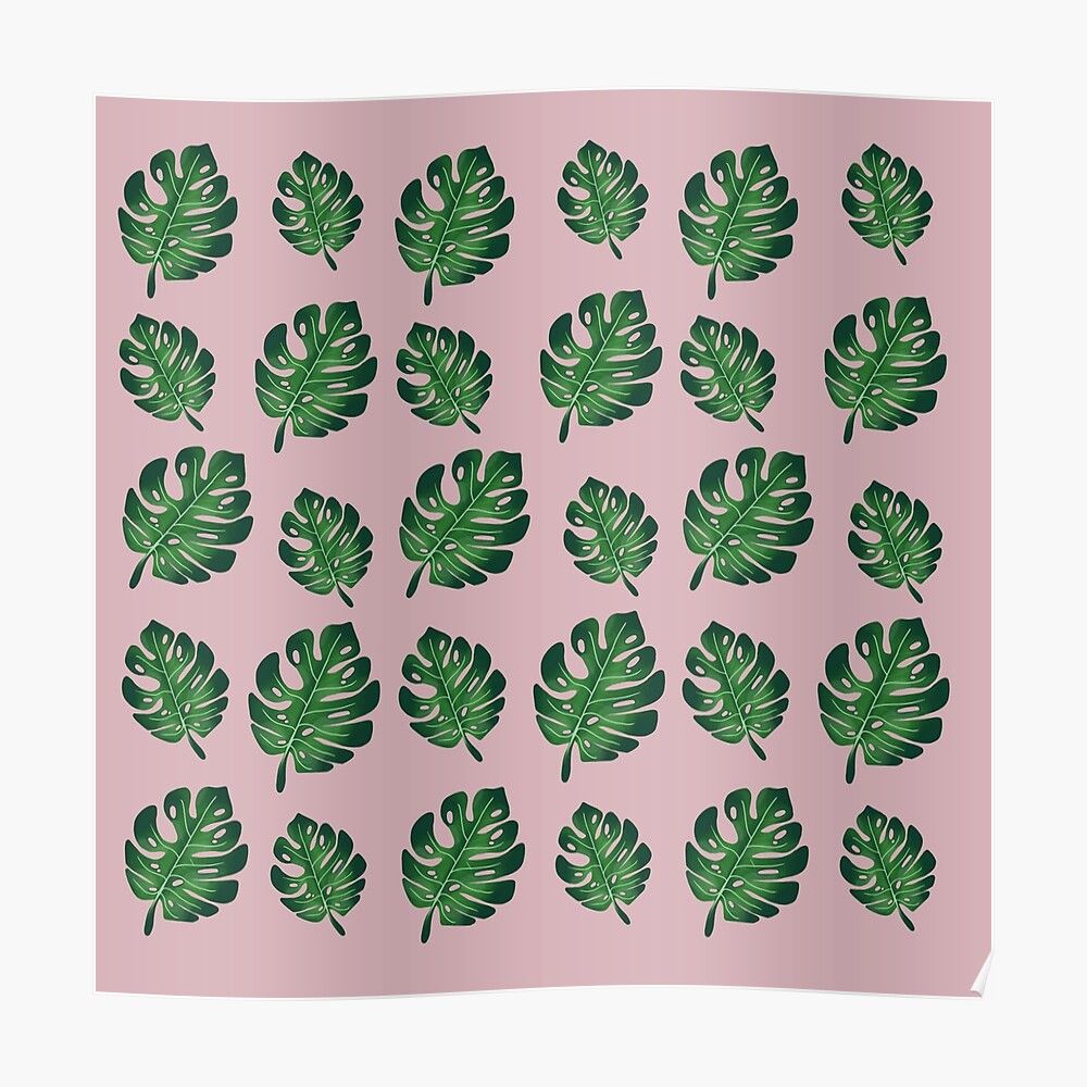 Pattern foglie monstera verdi rosa, 1000x1000 HD, Desktop