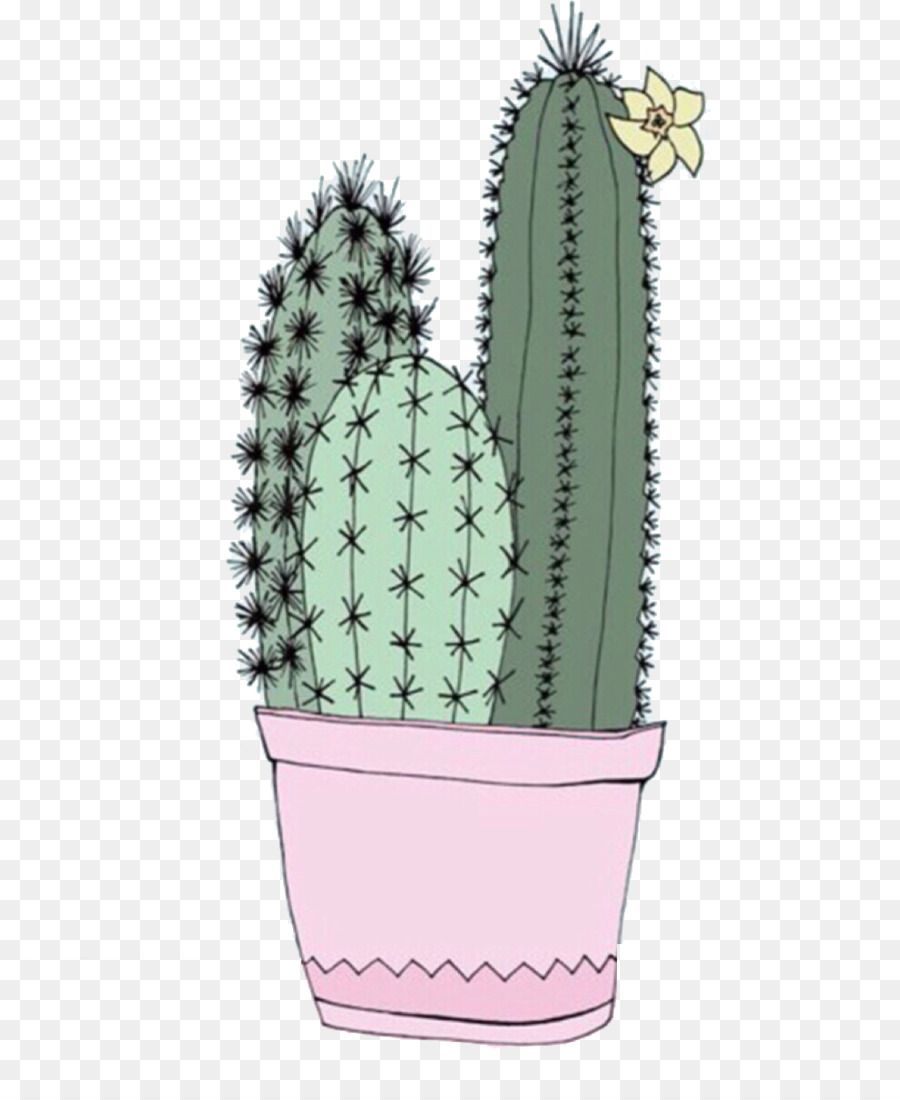 Cactus carini in vaso rosa, 900x1100 Full HD Verticale, Samsung Galaxy