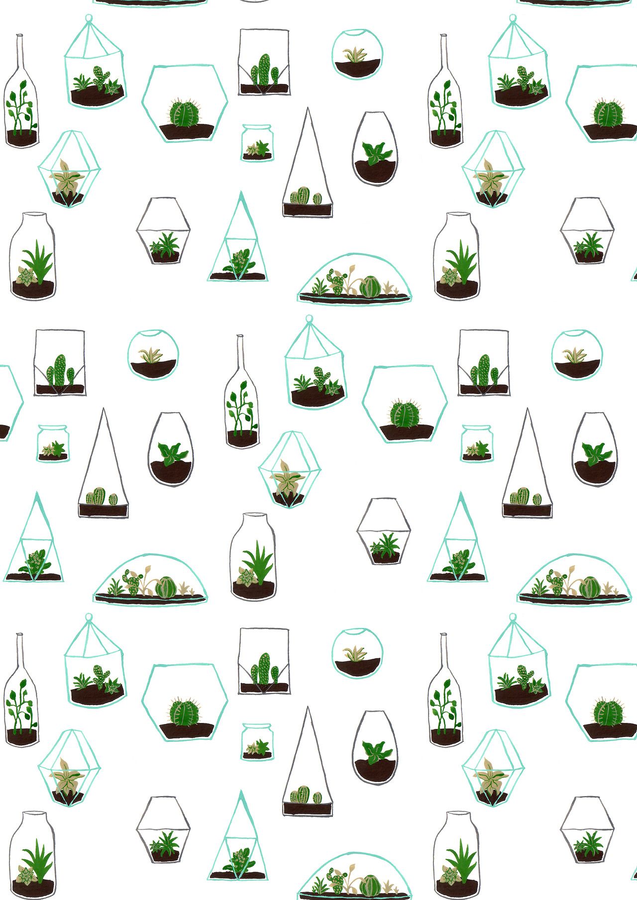 Piante grasse in terrari geometrici, 1280x1810 Full HD Verticale, Smartphone