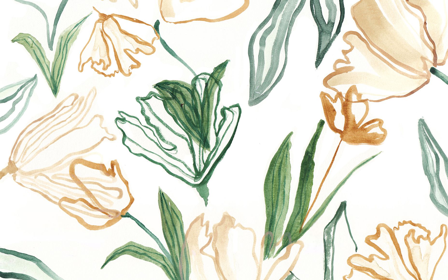 Tulipani acquerello beige verde, 1856x1161 HD Ready, Desktop