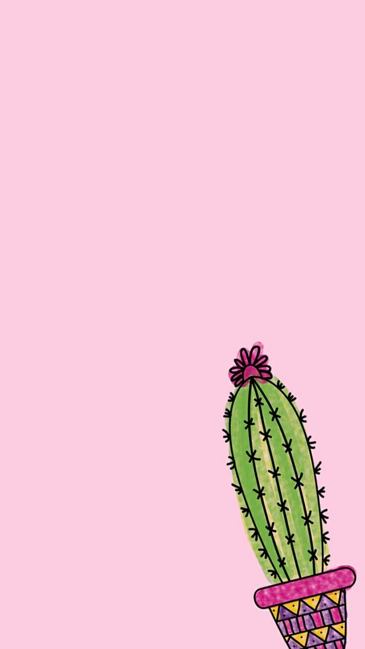 Cactus verde con fiore rosa, 736x1308 Verticale, Telefono