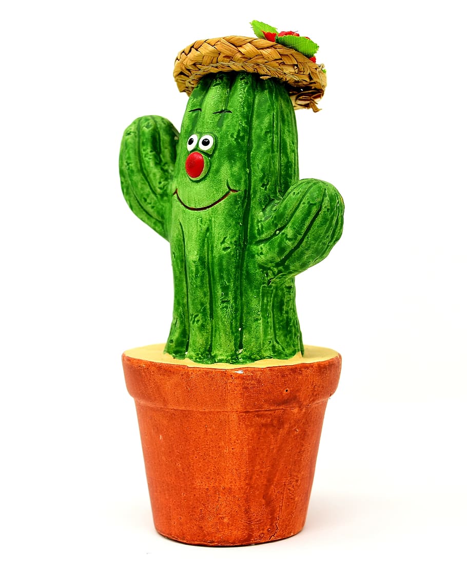 Cactus verdi pattern parete, 1024x1024 HD, iMac