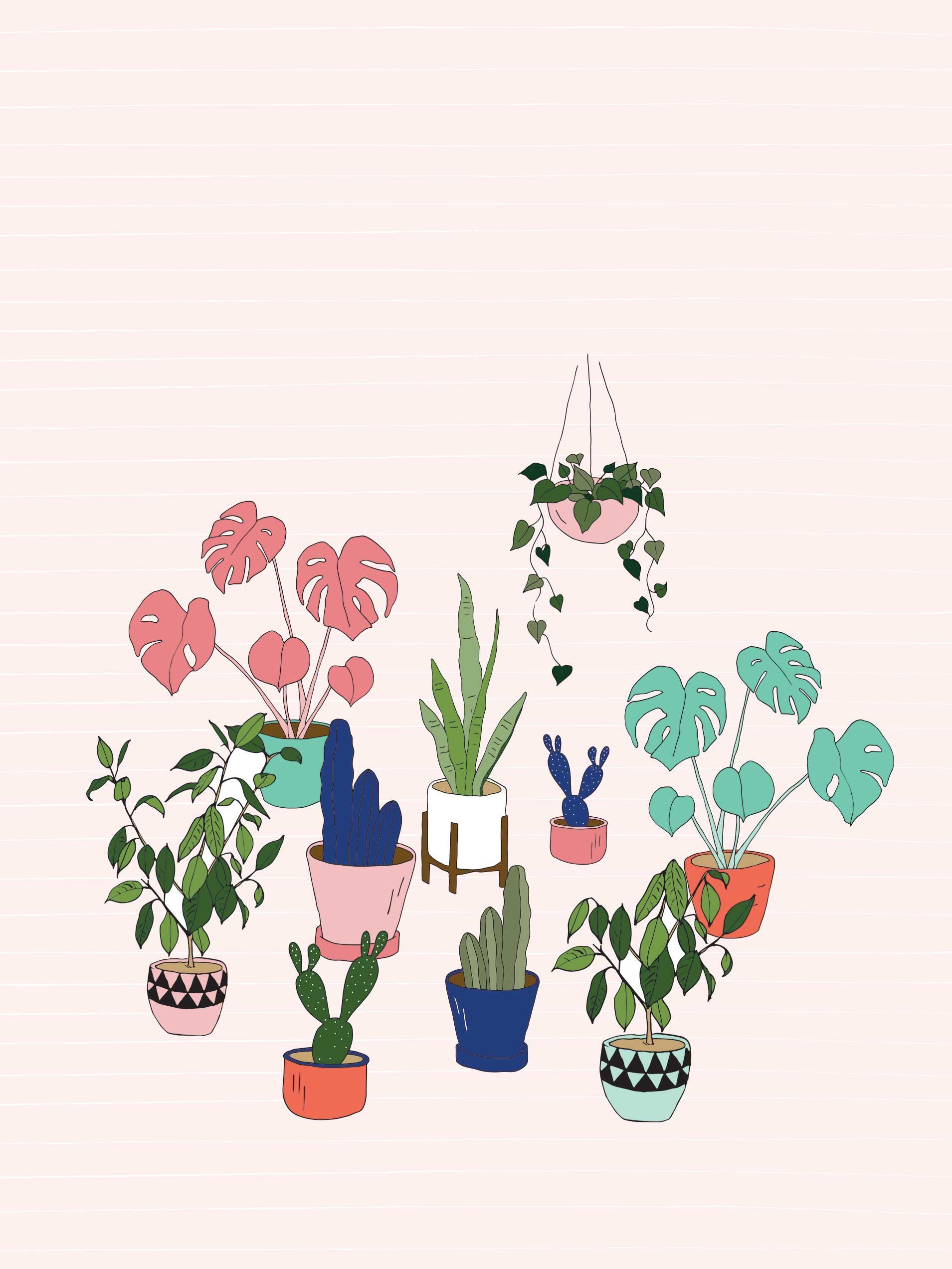 Piante in vaso illustrate colorate, 1909x2545 Full HD Verticale, Smartphone