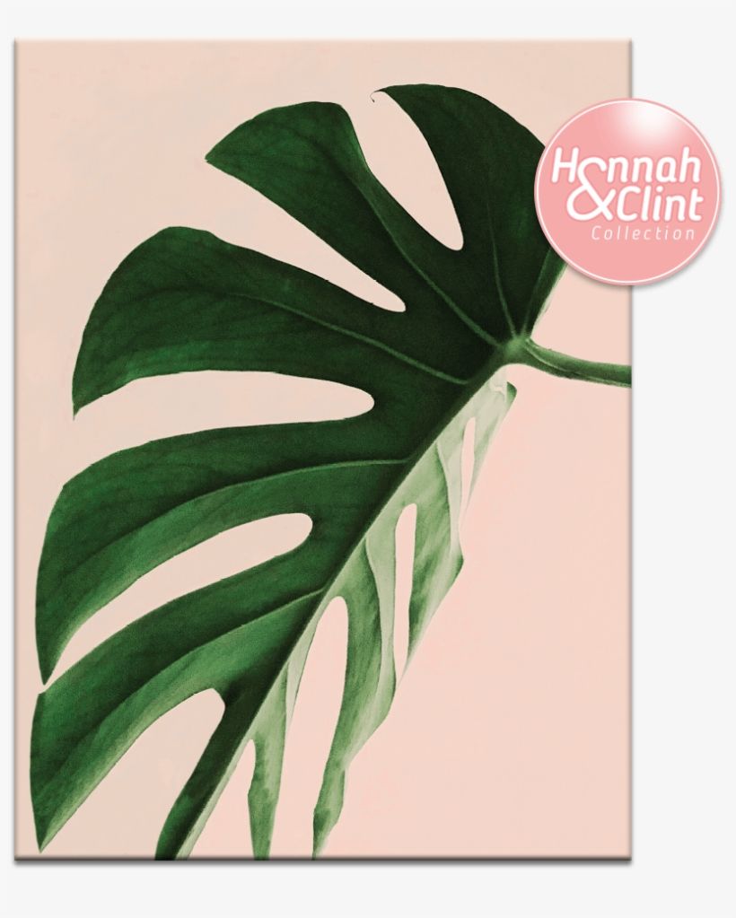 Foglia monstera verde sfondo rosa, 820x1023 Verticale, Xiaomi