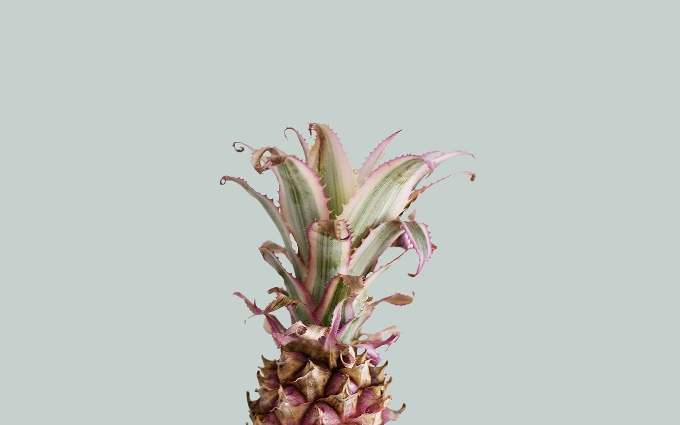 Ananas su sfondo pastello, 1400x875 720p, PC