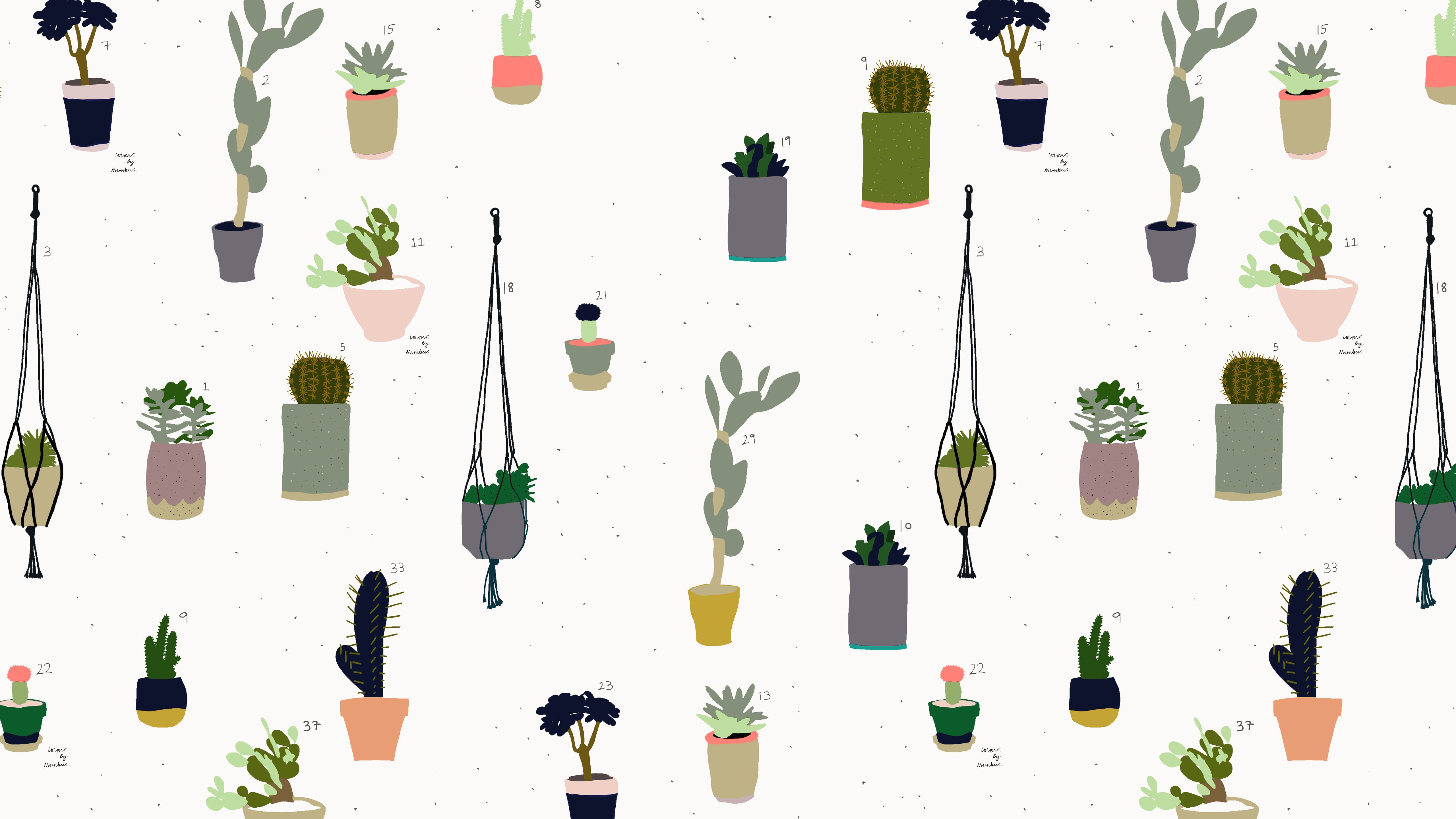 Illustrazione piante grasse e cactus, 5120x2880 Ultra HD, PC