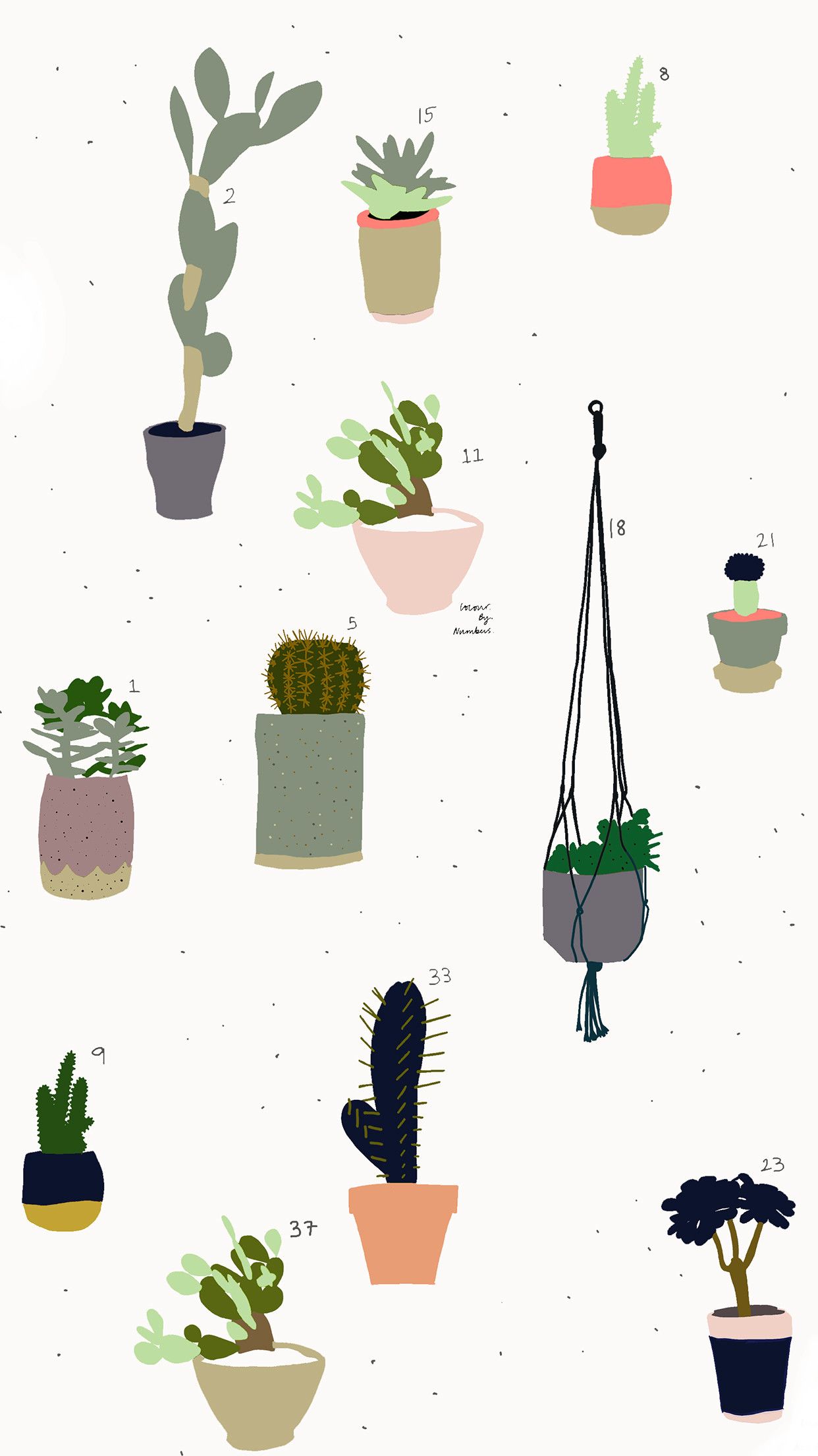 Tre cactus illustrati con vasi, 2048x2048 alta risoluzione, PC