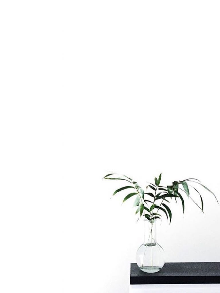 Vaso di vetro con pianta verde, 768x1024 Verticale, Mobile