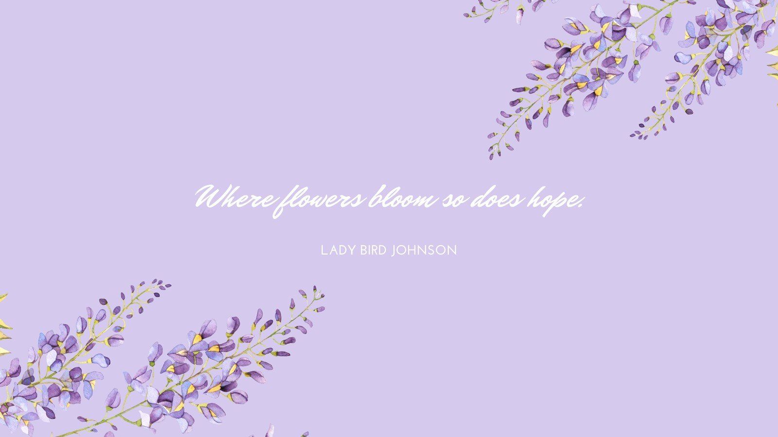 fiori viola pastello minimalisti, 1600x900 HD Ready, Desktop