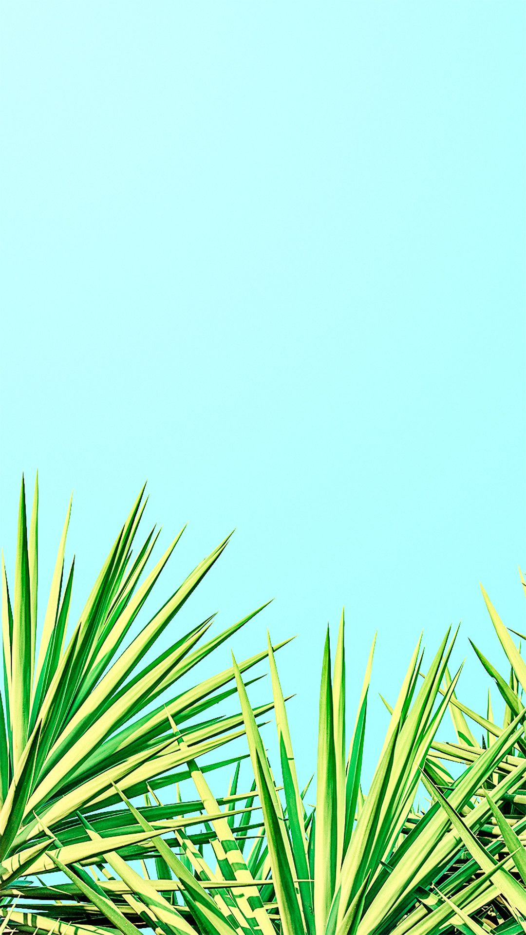 Foglie di palma minimaliste, 1080x1920 Verticale, Samsung Galaxy