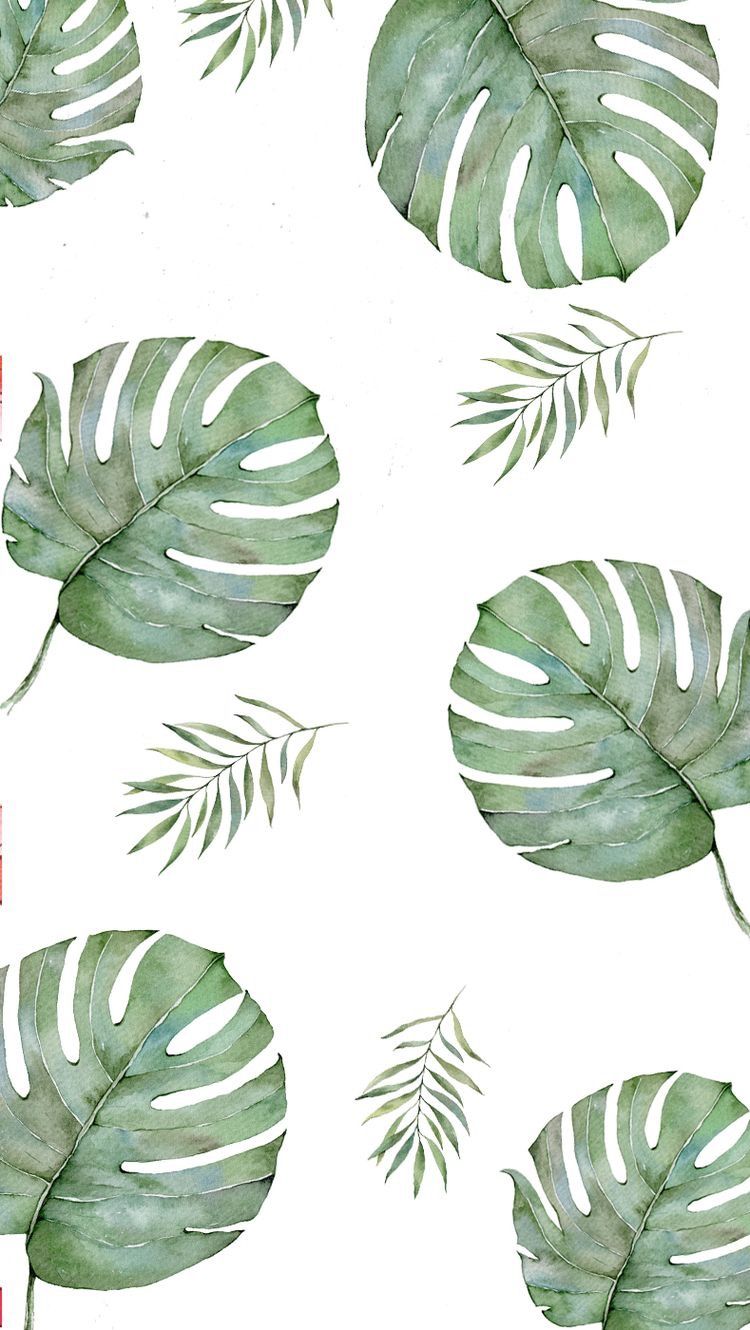 foglie tropicali verdi minimaliste, 750x1330 Verticale, Mobile