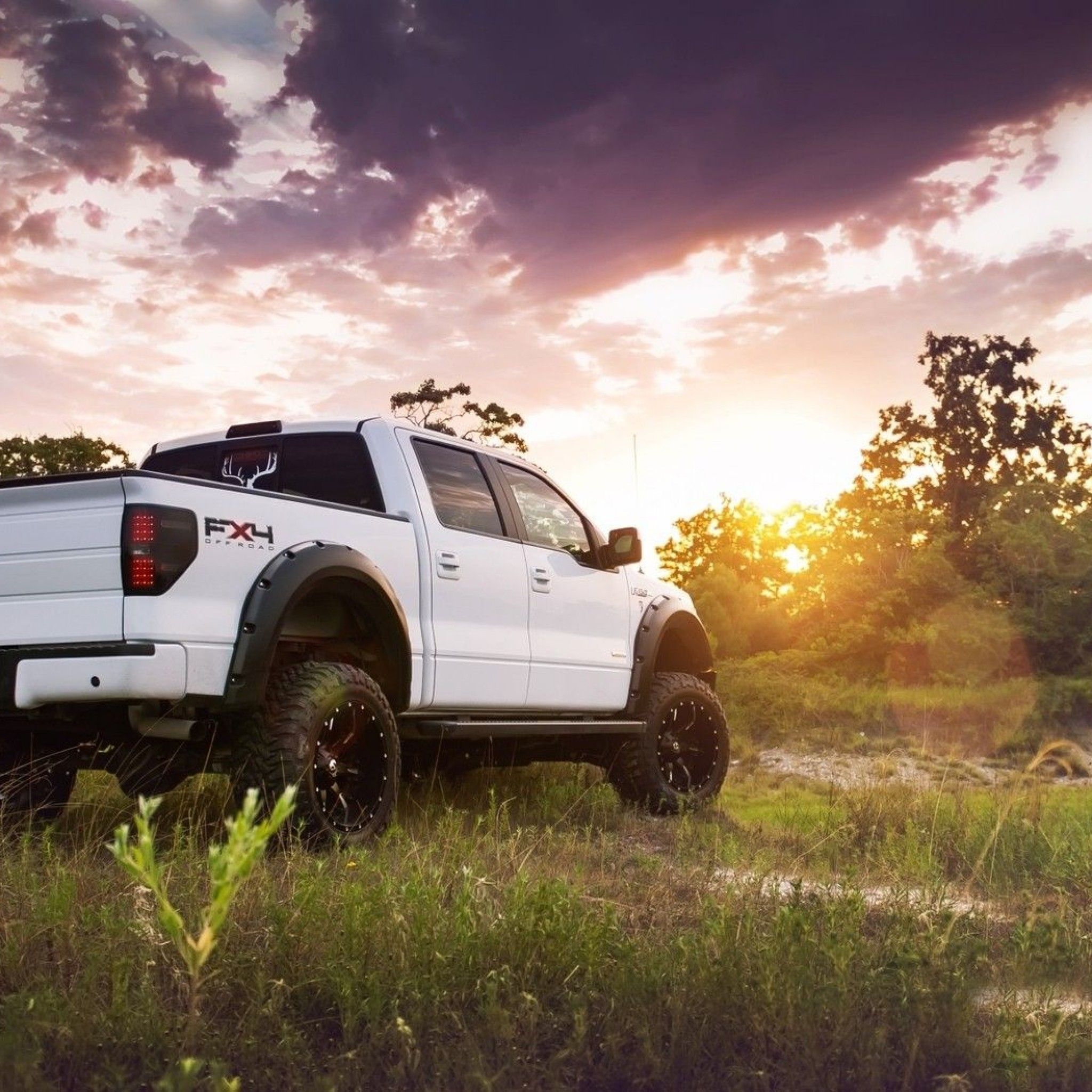 Pickup Ford bianco al tramonto, 2048x2048 alta risoluzione, Desktop