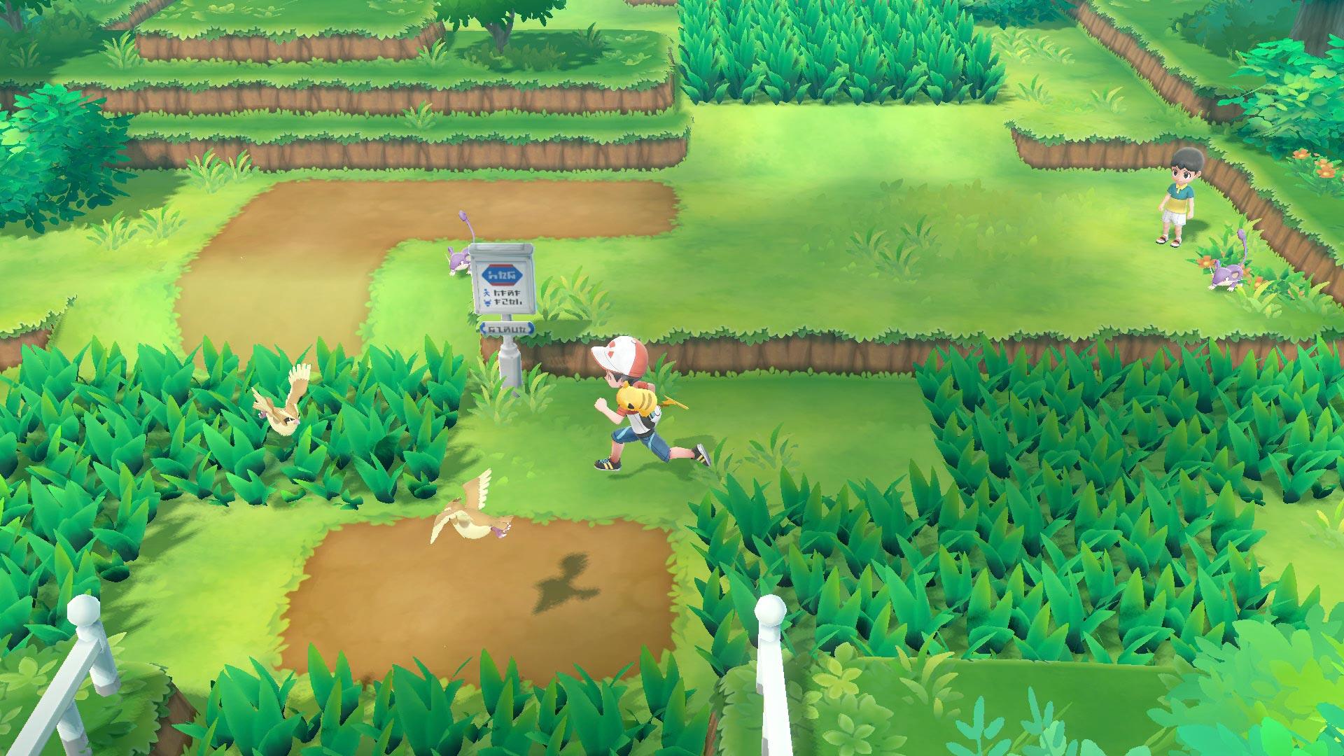 Pikachu Eevee Let's Go fattoria, 1920x1080 Full HD, Laptop