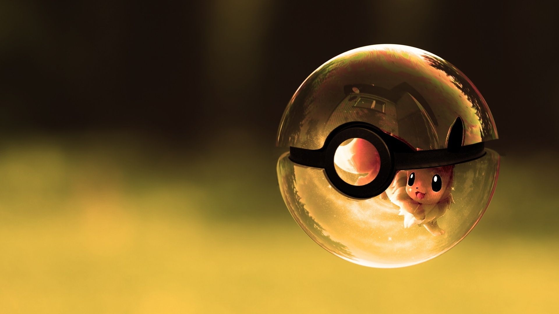Pokeball con Pikachu riflesso, 1920x1080 1080p, Desktop