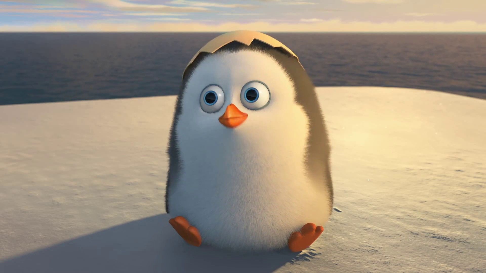 Pinguino cucciolo cartone animato, 1920x1080 Full HD, Desktop