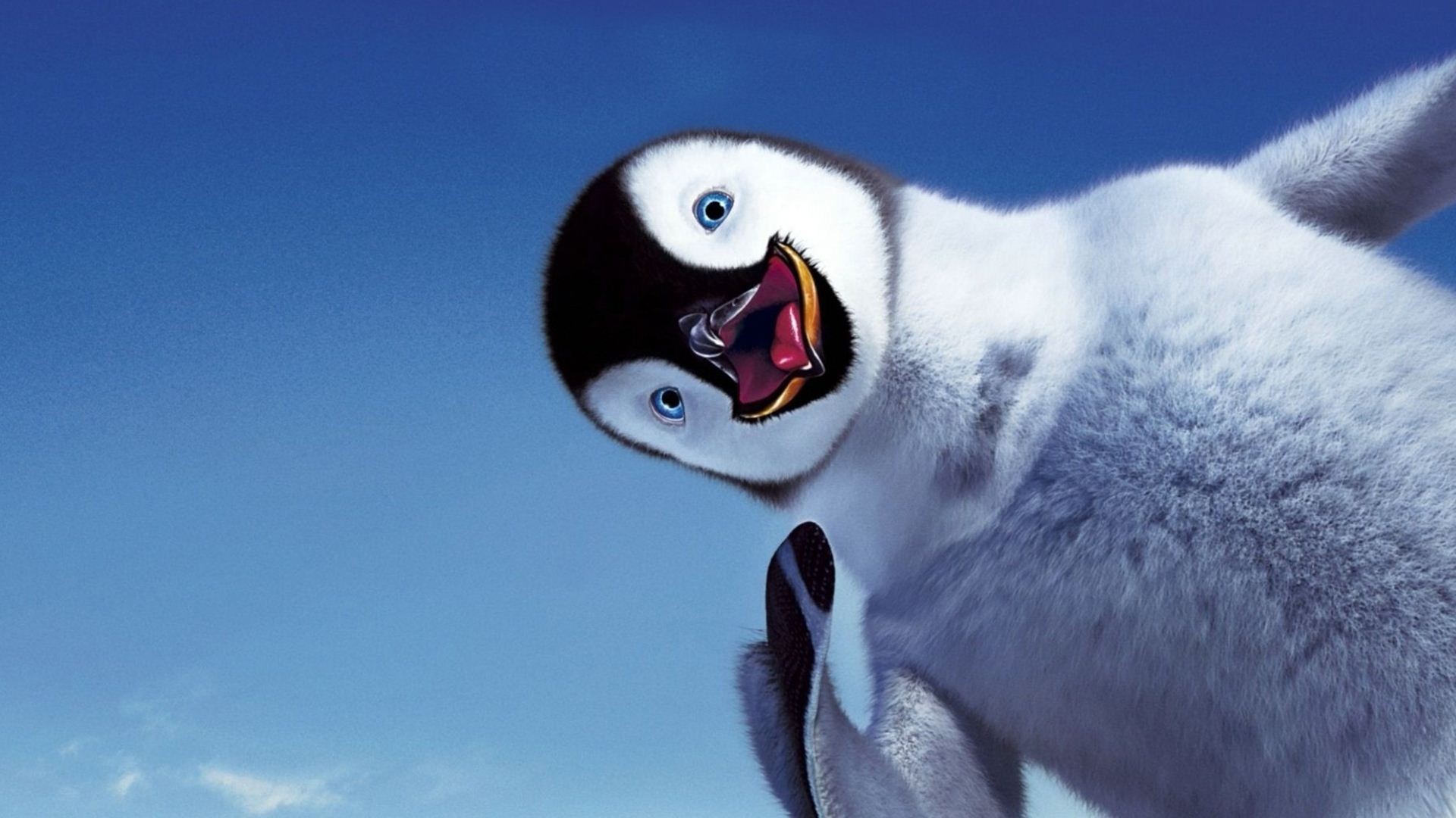 Cucciolo di pinguino imperatore, 1920x1080 1080p, PC Desktop